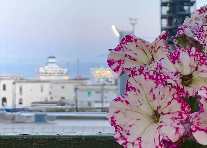 La Terrazza Sul Porto